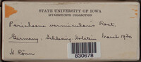 Image Associated With the Occurence